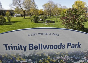 trinity Trinity Bellwoods Park