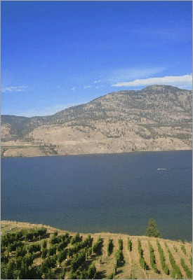 A view overlooking Skaha Lake in the Okanagan Valley, one of the driest regions of the province's interior.