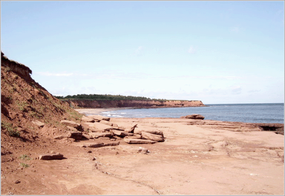 The coast of Prince Edward Island around Cavendish